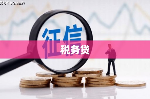 景德镇税务贷