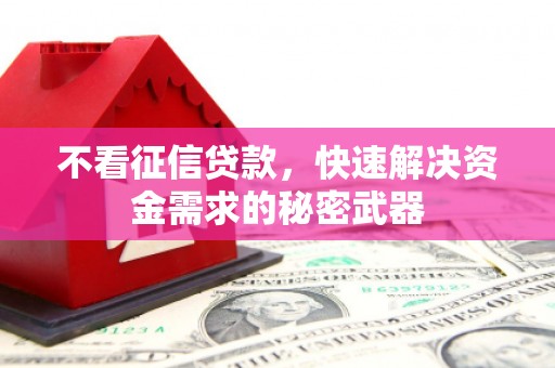 景德镇不看征信贷款，快速解决资金需求的秘密武器