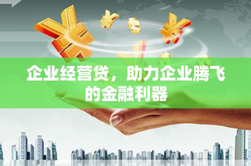 景德镇企业经营贷，助力企业腾飞的金融利器