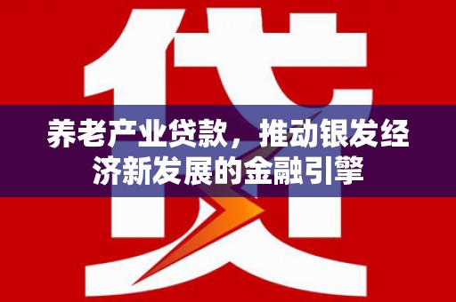 景德镇养老产业贷款，推动银发经济新发展的金融引擎