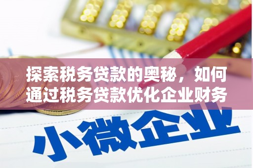 景德镇探索税务贷款的奥秘，如何通过税务贷款优化企业财务