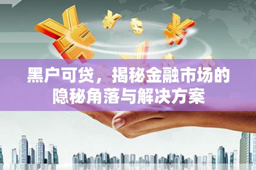 景德镇黑户可贷，揭秘金融市场的隐秘角落与解决方案