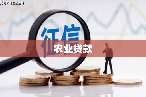 景德镇农业贷款