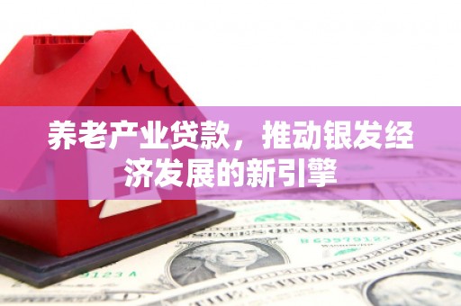 景德镇养老产业贷款，推动银发经济发展的新引擎