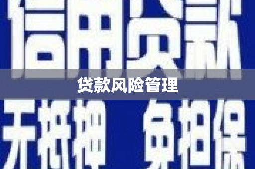 景德镇贷款风险管理