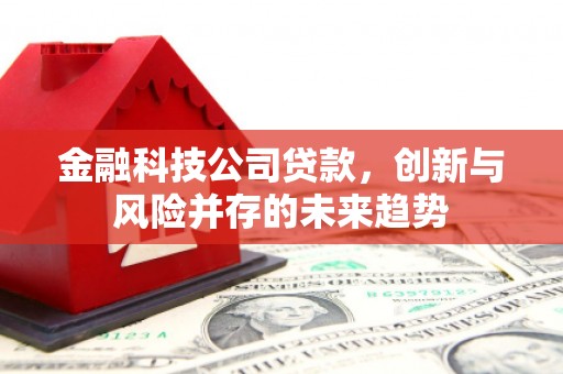 景德镇金融科技公司贷款，创新与风险并存的未来趋势