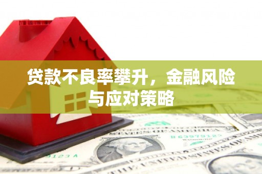 景德镇贷款不良率攀升，金融风险与应对策略