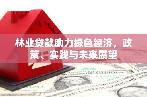 景德镇林业贷款助力绿色经济，政策、实践与未来展望