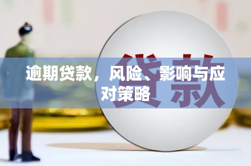 景德镇逾期贷款，风险、影响与应对策略