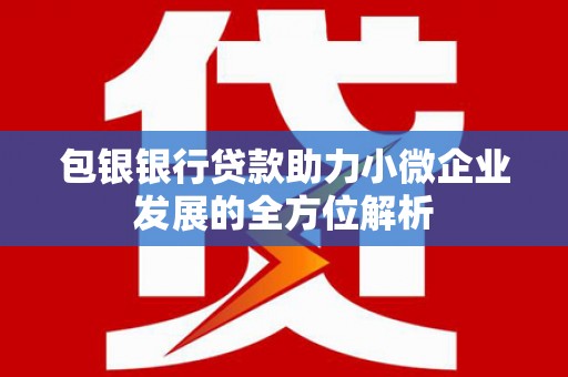 景德镇包银银行贷款助力小微企业发展的全方位解析