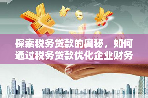 景德镇探索税务贷款的奥秘，如何通过税务贷款优化企业财务
