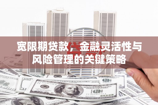 景德镇宽限期贷款，金融灵活性与风险管理的关键策略