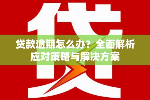 景德镇贷款逾期怎么办？全面解析应对策略与解决方案