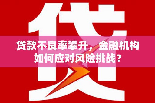 景德镇贷款不良率攀升，金融机构如何应对风险挑战？