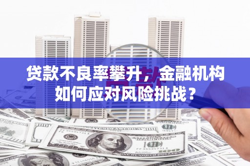 景德镇贷款不良率攀升，金融机构如何应对风险挑战？