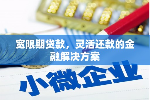 景德镇宽限期贷款，灵活还款的金融解决方案