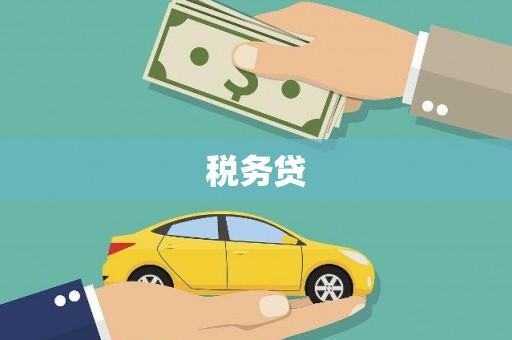 景德镇税务贷