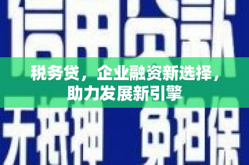 景德镇税务贷，企业融资新选择，助力发展新引擎