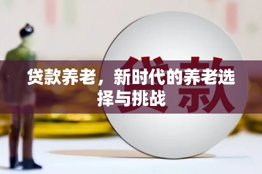 景德镇贷款养老，新时代的养老选择与挑战