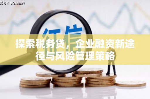 景德镇探索税务贷，企业融资新途径与风险管理策略
