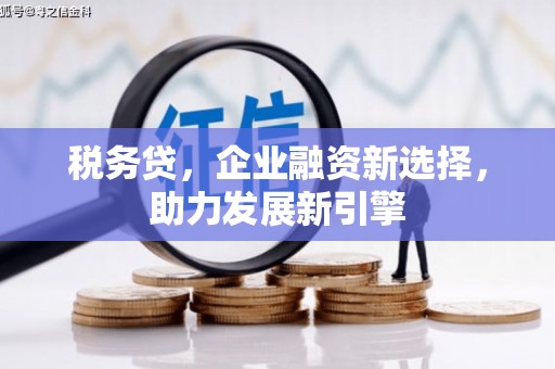 景德镇税务贷，企业融资新选择，助力发展新引擎