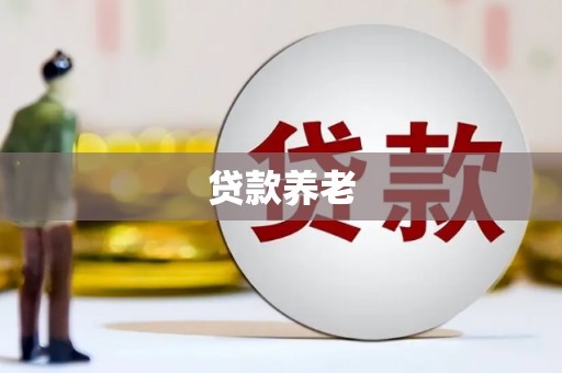 景德镇贷款养老