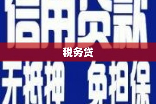 景德镇税务贷