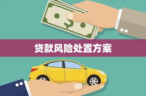 景德镇贷款风险处置方案