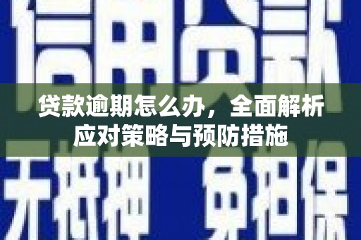 景德镇贷款逾期怎么办，全面解析应对策略与预防措施