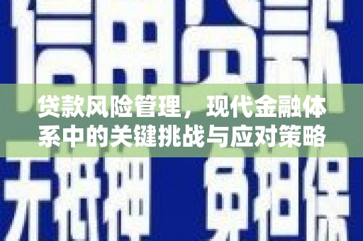 景德镇贷款风险管理，现代金融体系中的关键挑战与应对策略