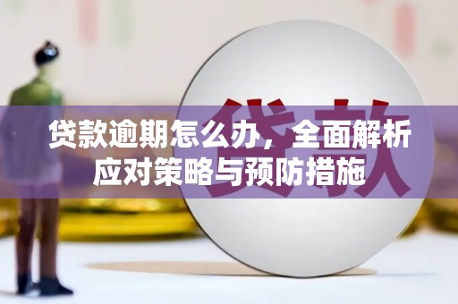 景德镇贷款逾期怎么办，全面解析应对策略与预防措施
