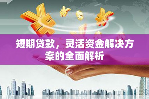 景德镇短期贷款，灵活资金解决方案的全面解析