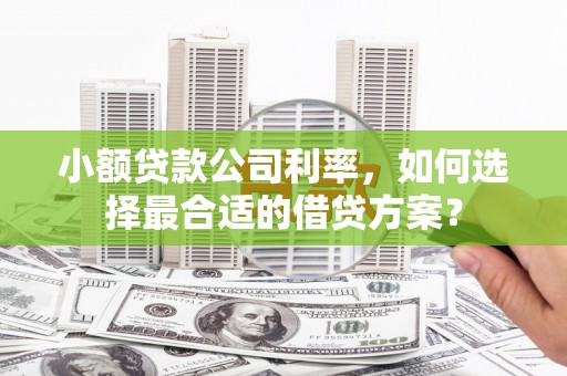 景德镇小额贷款公司利率，如何选择最合适的借贷方案？
