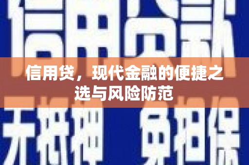 景德镇信用贷，现代金融的便捷之选与风险防范