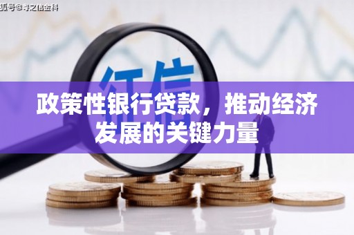 景德镇政策性银行贷款，推动经济发展的关键力量