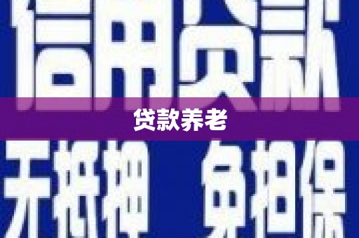 景德镇贷款养老