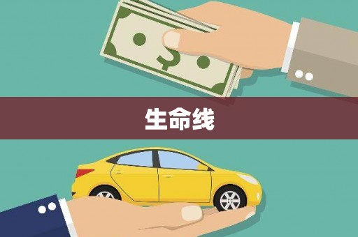 景德镇生命线