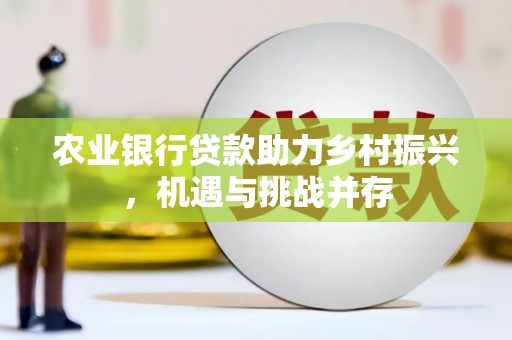 景德镇农业银行贷款助力乡村振兴，机遇与挑战并存
