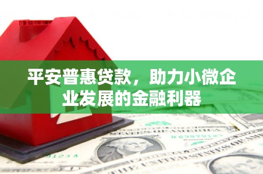 景德镇平安普惠贷款，助力小微企业发展的金融利器