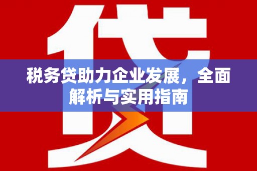 景德镇税务贷助力企业发展，全面解析与实用指南