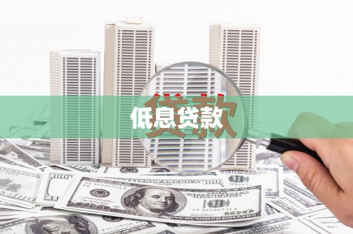 景德镇低息贷款