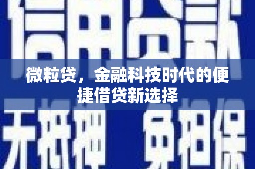 景德镇微粒贷，金融科技时代的便捷借贷新选择