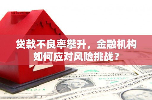 景德镇贷款不良率攀升，金融机构如何应对风险挑战？