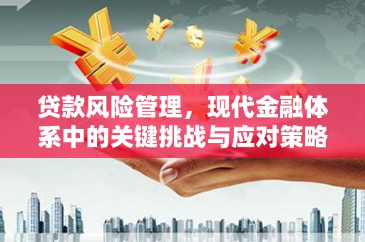 景德镇贷款风险管理，现代金融体系中的关键挑战与应对策略