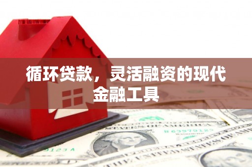 景德镇循环贷款，灵活融资的现代金融工具