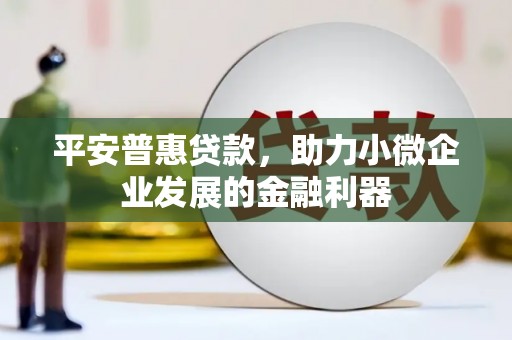 景德镇平安普惠贷款，助力小微企业发展的金融利器