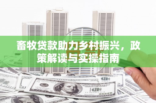 景德镇畜牧贷款助力乡村振兴，政策解读与实操指南