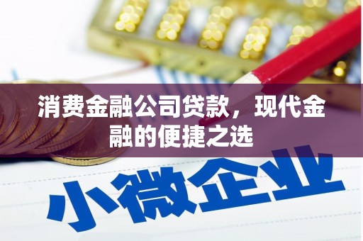 景德镇消费金融公司贷款，现代金融的便捷之选