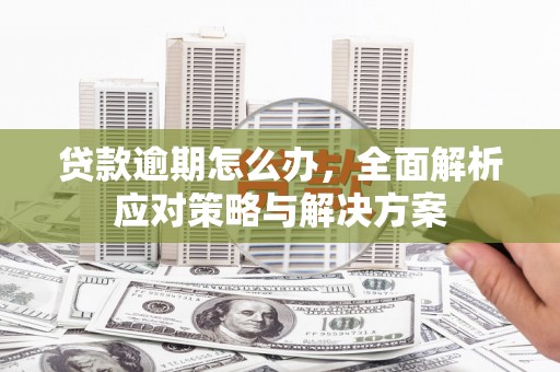 景德镇贷款逾期怎么办，全面解析应对策略与解决方案