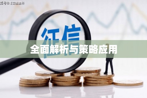 景德镇全面解析与策略应用